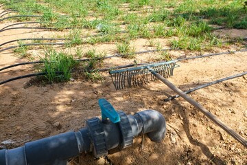 Garden rake lies near irrigation pipe with blue valve, drip irrigation hoses among green crops in farmland field. Sustainable agriculture and smart water management for arid agriculture in the UAE.