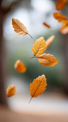 Autumn atmosphere with golden leaves gently falling in a tranquil natural setting