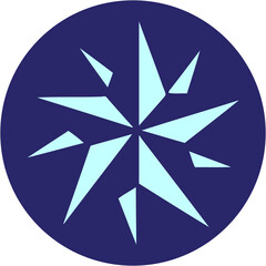 iconic tattoo style image of a star in bright neon color