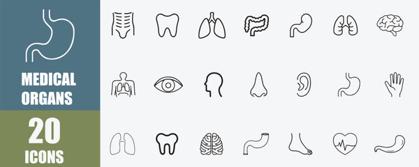 Human Anatomy Line Icon Set of Medical Body Parts and Organs, Vector Style on White Background, 