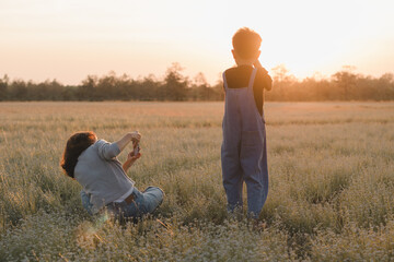Mother holding smartphone captures photo of her young son during a peaceful sunset in a flower field. Boy is standing while mother sits on the grass holding a smartphone, in the golden hour light.