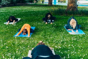 Female yoga class in park. Group of diverse women doing stretching pose exercising together with instructor on green grass lawn. Sport activity for health, wellbeing, mental health. Selective focus