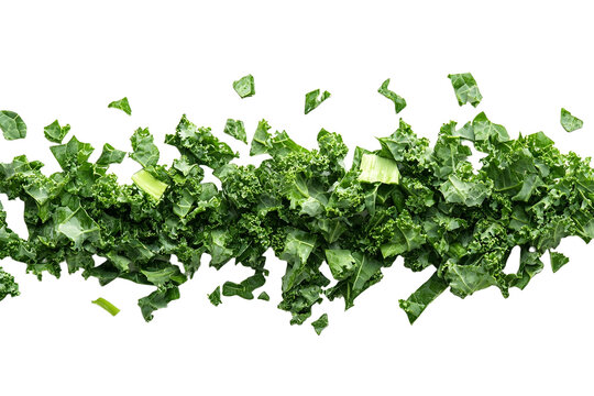 Chopped curly kale leaves piled loosely