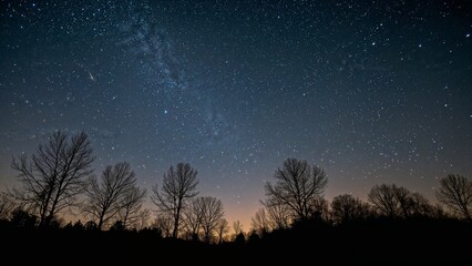 Naklejka premium Stunning night sky with milky way and meteor