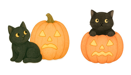 Fototapeta premium Sad Pumpkins and Black Cats – Halloween Cat and Pumpkin Expressions 