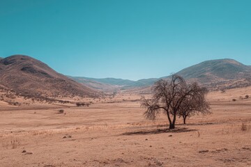 Naklejka premium A solitary tree stands in a vast, arid landscape surrounded by distant mountains under a clear sky