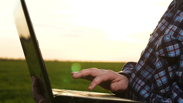 Male agricultural worker hand typing use laptop searching data green wheat growth cultivation closeup. Unrecognizable man agronomist analyzing industrial agriculture farming digital technology outdoor