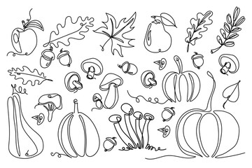 Line art collection of autumn elements including pumpkins, mushrooms, oak and maple leaves, acorns, apple, pear, and branch in black on white. For seasonal designs, packaging, greeting cards