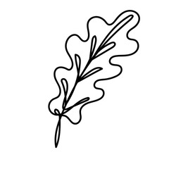 Oak leaf line art illustration in black on white background. Suitable for autumn projects, eco-themed prints, packaging, greeting cards, fabric, and scrapbooking.