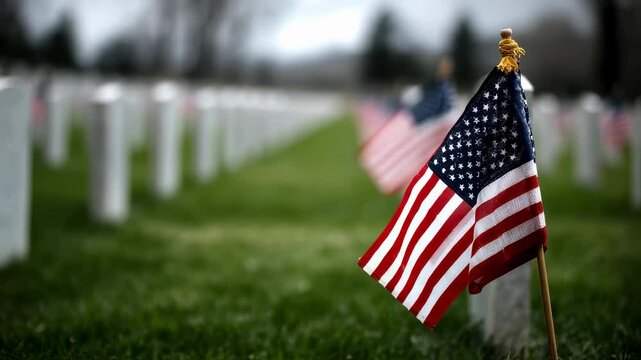 Vividly depicted the American flag waves gently over an expanse of white tombstones highlighting the emotional connection between patriotism and remembrance in a hallowed military burial