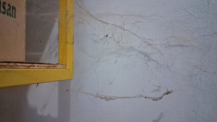 The condition of the residence is never cleaned, the place is full of spiders. Dirty and damp.