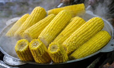 Fresh corn on the cob being steamed in a pot, perfect for an outdoor picnic or summer gathering