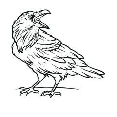 raven vector illustration. Drawing. Outline. Simple