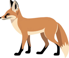 Realistic Walking Fox Vector Illustration on White Background (Side Profile)