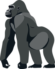 Realistic Standing Gorilla Vector Illustration on White Background (Side Profile)