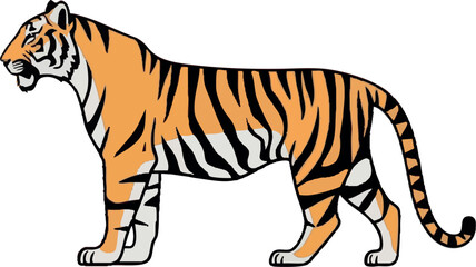 Realistic Walking Tiger Vector Illustration on White Background (Side Profile)