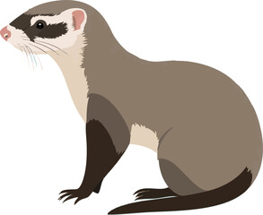 Realistic Standing Weasel Vector Illustration on White Background (Side Profile)