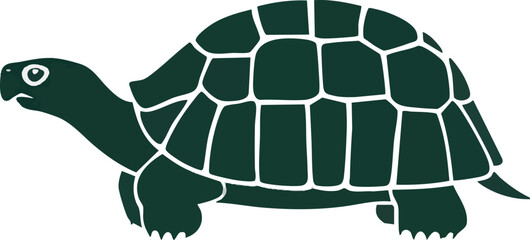 Standing Cartoon Turtle Vector Illustration on White Background (Side Profile)