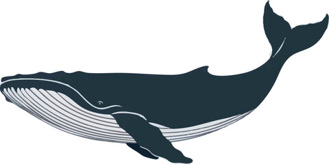 Obraz premium Realistic Swimming Whale Vector Illustration on White Background (Side Profile)