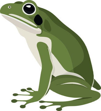 Realistic Standing Frog Vector Illustration on White Background (Side Profile)
