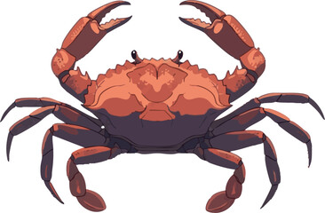 Crab vector illustration – top view, full body on white background, 2D vector illustration