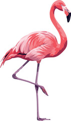 Obraz premium Flamingo in one-leg standing pose – full body side view vector on white, 2D vector illustration
