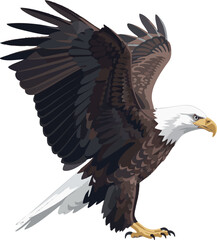 Eagle in full body side profile – vector illustration on white background, 2D vector illustration