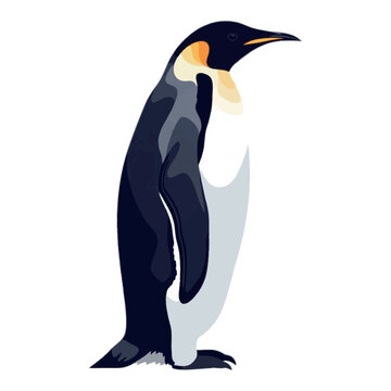Emperor penguin standing in side view &ndash; full body vector on white background, 2D vector illustration