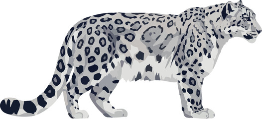 Snow leopard in side profile – full body vector illustration on white, 2D vector illustration © Kerem