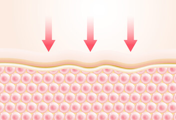 Collagen and vitamin drop skin cell. concept cosmetics solution. serum through the skin layer and reduce up saggy skin of the skin cell.