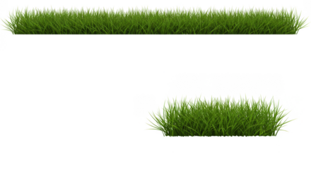 Isolated Green Grass Turf Lawn Vegetation for Natural Environment 3D