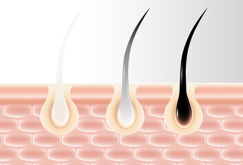 Hair serum molecules keep it fresh all day long