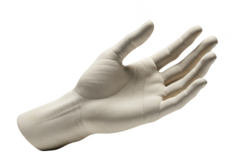 Isolated Hand Illustration Open Palm Fingers with White Textured Surface