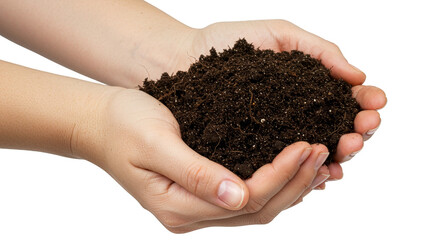 Isolated Hands Holding Dark Fertile Soil Dirt Earth Gardening on Transparent