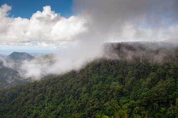 Mountains Wrapped in Wispy Clouds of Morning Mist