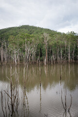 Obraz premium Reflections of Nature in a Tranquil Waterscape