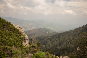 Fototapeta premium View of the forest from Peña del Cuervo in Mineral del Chico, Hidalgo, Mexico