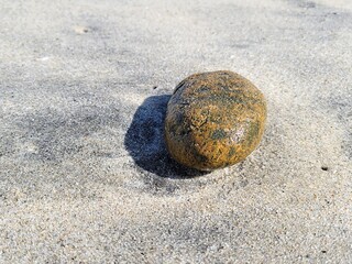 Single Wet Rock on Sandy Beach with Shadow in Sunlight Minimalist Coastal Nature Close-up