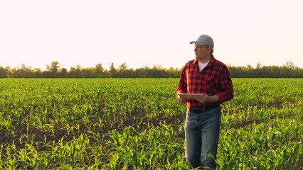 Modern male agronomist walking at corn field with tablet pc checking growth. Man farmer...