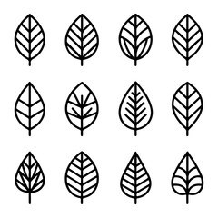 Unique and good quality Leaves line icon set
