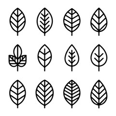 Unique and good quality Leaves line icon set