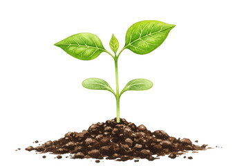 Isolated Illustration of Green Sprout Growing from Earth with New Life