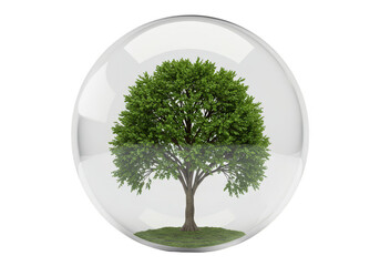 Isolated Illustration of Green Tree Encased in Transparent Glass Globe