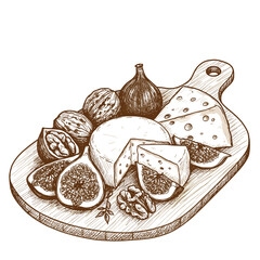 Cheese platter with figs and walnuts in rustic sketch style  