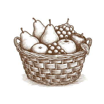 Fruit basket with pears, apples, and grapes in vintage style  