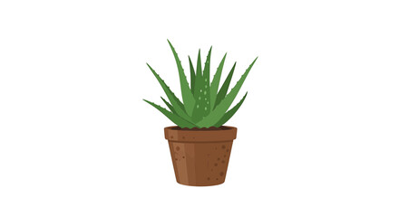 Obraz premium A vibrant illustration of an aloe vera plant in a brown terracotta pot, isolated on white.