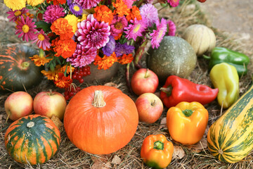Autumn harvest of fresh apple, pumpkin, tomato, pepper vegetable with beautiful colorful fall...