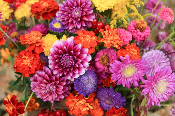 Beautiful autumn pink yellow orange red purple bright bouquet with dahlia, aster, marigold flower and colorful leaves. Fall flowers close up macro background texture