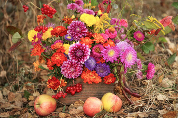 Beautiful autumn pink yellow orange red purple bouquet with dahlia, aster, marigold flower and colorful leaves. Still life with Fall flowers and apples close up