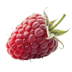 Close up macro shot of a single ripe red raspberry isolated on transparent background